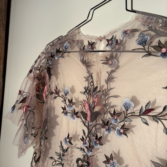 Zara Sheer Tulle Emroidered Blouse - Picture 7 of 14
